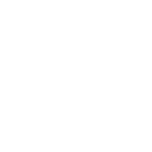 Experiencia y Profesionalismo